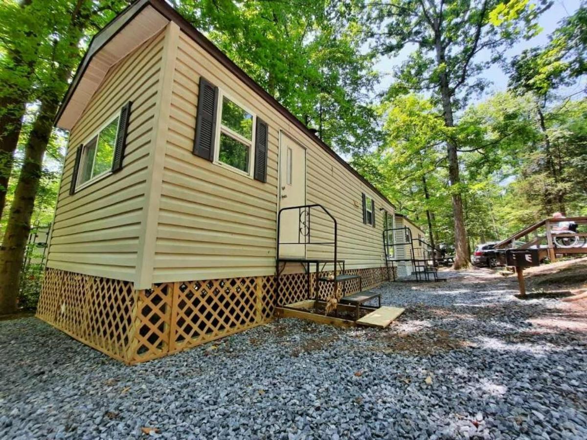 The Vintage Rv'S At Wilderness Presidential Camp Resort By Tripforth Spotsylvania Exterior photo